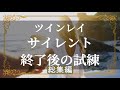 ツインレイ サイレント期間の終了 統合期に表れる現象 ~スピリチュアル 総集編