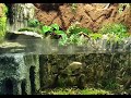 Палюдариум своими руками с водопадом. (Paludarium with your own hands with a waterfall)