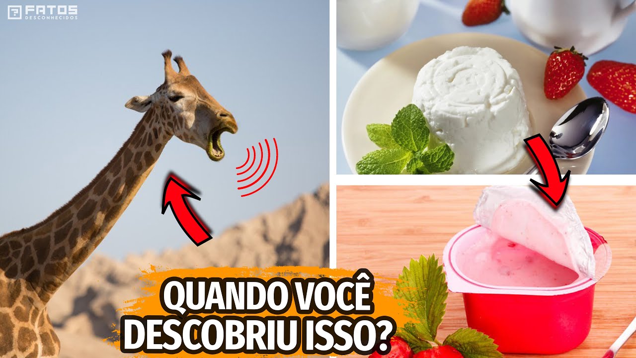 10 coisas que você não sabia em 10 minutos #19