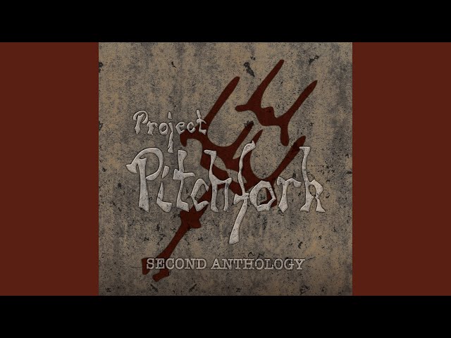 Project Pitchfork - The Dividing Line