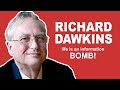 Exploring Genetic Information and the Information Bomb