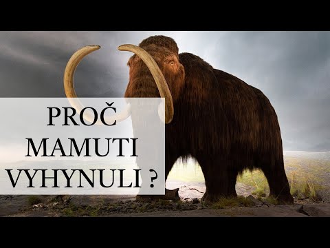 Video: Falešný historik Karamzin. Část 1