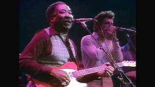 Muddy Waters - They Call Me Muddy Waters 1978 (live) chords