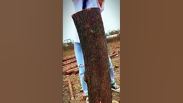 technique of splitting a log with a sharp axe #shorts