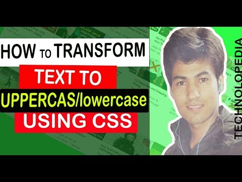 Master Text Transform : Make Text Uppercase or Lowercase in Seconds