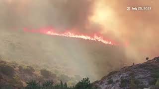 Greek wildfire threat nears, outpacing preparations | REUTERS