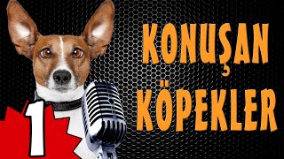 Konuşan Köpekler 1 - Komik Köpek Videoları Resimi
