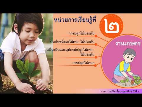 การปลูกไม้ดอกไม้ประดับ (การงานอาชีพ Gr.4)