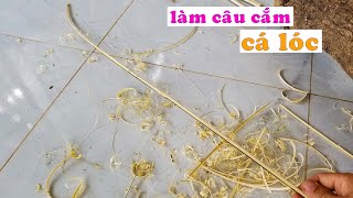 Câu ếch đồng: Hướng dẫn từ A đến Z | Farmvina Nông Nghiệp