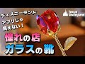 【アプリじゃ買えない！】東京ディズニーランドの特別なお店『ガラスの靴』ご紹介♪