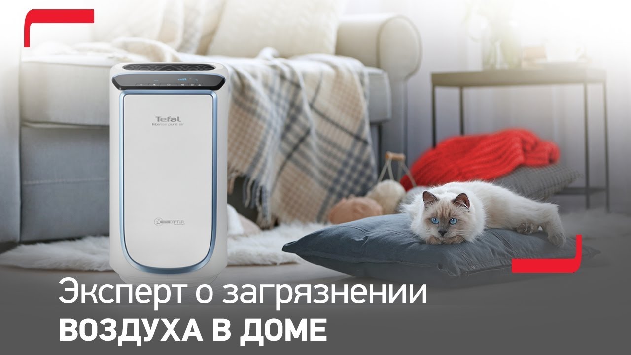 Воздухоочиститель Tefal PURE AIR ESSENTIAL PT2530F0 видео