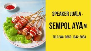 Ampli Toa Jualan Keliling, Speaker Pedagang Keliling sempol ayam, TELP/WA 0852-1042-3883
