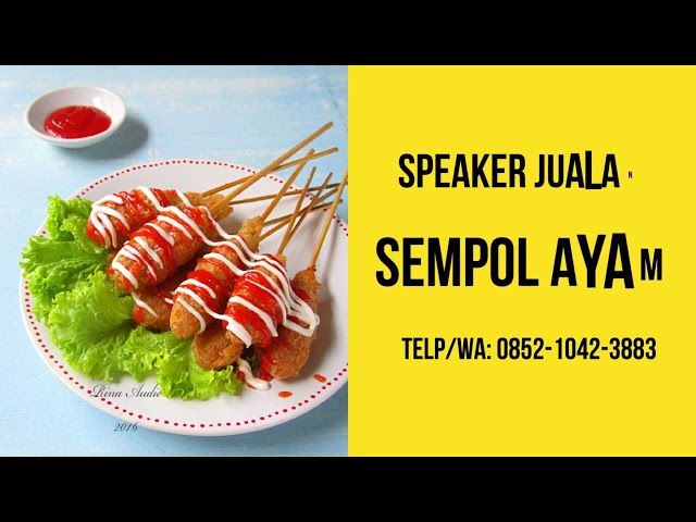 Ampli Toa Jualan Keliling, Speaker Pedagang Keliling sempol ayam, TELP/WA 0852-1042-3883 class=