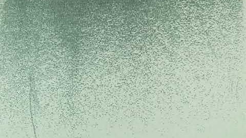 photocopy animation p2