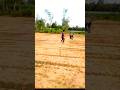 खेतो मै शेर indian flag vfx😲~mini woodtoy woodwarki art skill/ wood/ hand crafts/#shorts​​#shorts