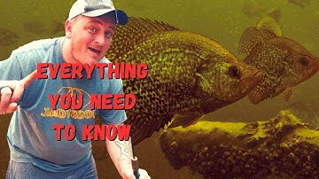 The Crappie Spawn Guide | Everything You NEED To Know