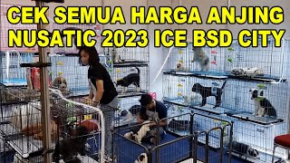 Harga Anjing Ras Di Nusatic 2023 ICE BSD City