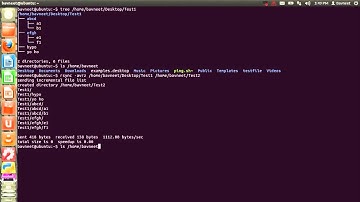 Module 10: Part 2 (Unix Commands)