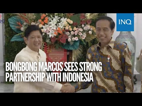 Bongbong Marcos sees strong partnership with Indonesia