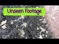 Unseen Footage (Bonus)￼