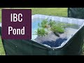 IBC Pond Construction