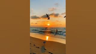 Puzhayoru poonulai....💗Status song...💗#whatsappstatus