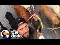 Guy Becomes Dog Walker Because He Didn’t Want To Be Away From His Own Dog | The Dodo