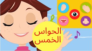 عالم مرح: الحواس الخمسة -  the 5 senses songs