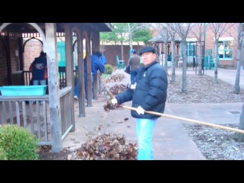 Malden Park Cleanup Project