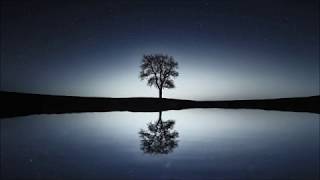 Pyrior - X Space Trip Video