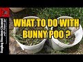 What to do with bunny poo   managing rabbit manure for composting