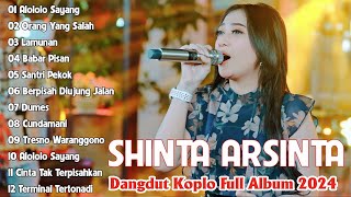 SHINTA ARSINTA TERBARU 2024 💃 SHINTA ARSINTA FULL ALBUM TERBAIK 💃  MUSIC REDUCES STRESS