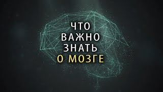 Что Важно Знать КАЖДОМУ о Мозге [5 ФАКТОВ]