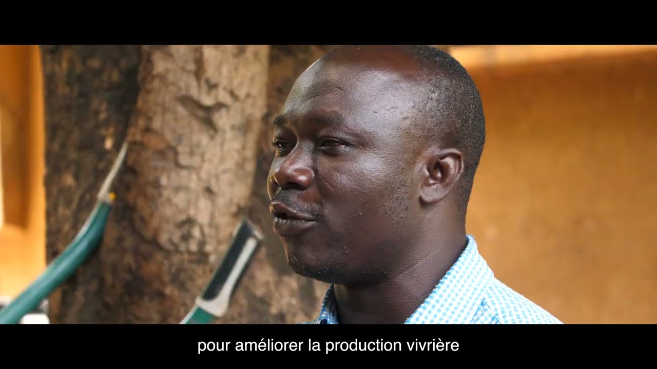 Mieux cultiver pour élever ses pintades dans les Savanes au Togo