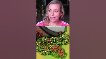 SIMS 4 LANDSCAPING TUTORIAL | Part 2| No CC