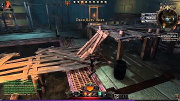 Neverwinter Online - Trickster Rogue Beta Gameplay HD