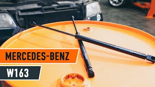 How to change tailgate struts on MERCEDES-BENZ M W163 TUTORIAL | AUTODOC