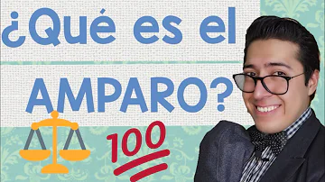 ¿Qué es el juicio de amparo y cuál es su finalidad?