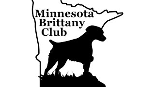 MN Brittany Club Specialty Show 2014 by Dawn Droel 274 views 9 years ago 35 minutes