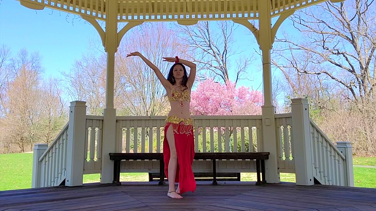 Whenever Wherever Belly Dance Solo Cover