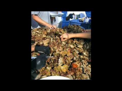 Pt.1. Gulf of Mexico Biodiversity - Darryl Felder interviewed by Judith Meriwether