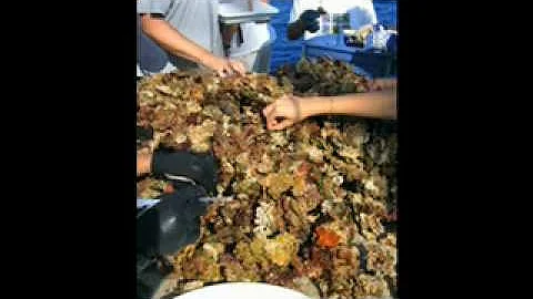 Pt.1. Gulf of Mexico Biodiversity - Darryl Felder ...