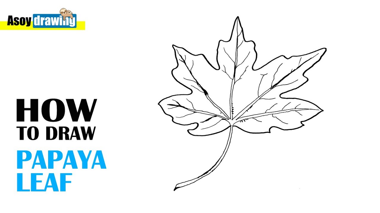 How to Draw Papaya Leaf - YouTube