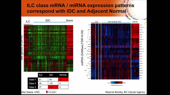 Genomic Characterization of Invasive Lobular Breast Carcinoma - Michael Gatza