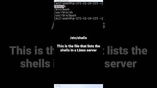 /etc/shells