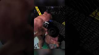 wow live boxing shorts comedy