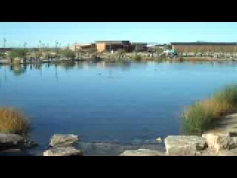 Video: Veterans Oasis Park Chandler - Environmental Education Centre at Veterans Oasis Park