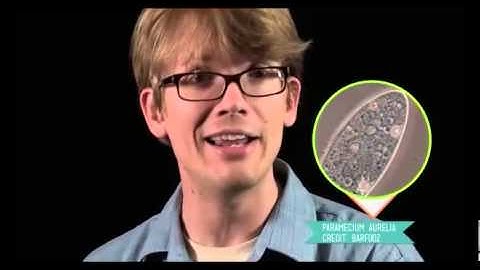 Module 3 Mastery- Ecological Interactions