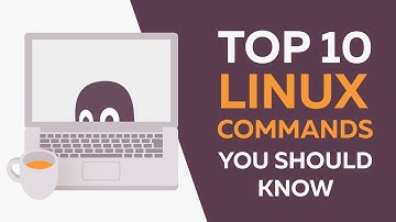 Top 10 Linux Commands Beginners Should Know: As Analysed from my Bash History of 30 thousand lines