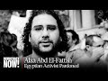 "Amazing News": Egypt Pardons Activist Alaa Abd El-Fattah